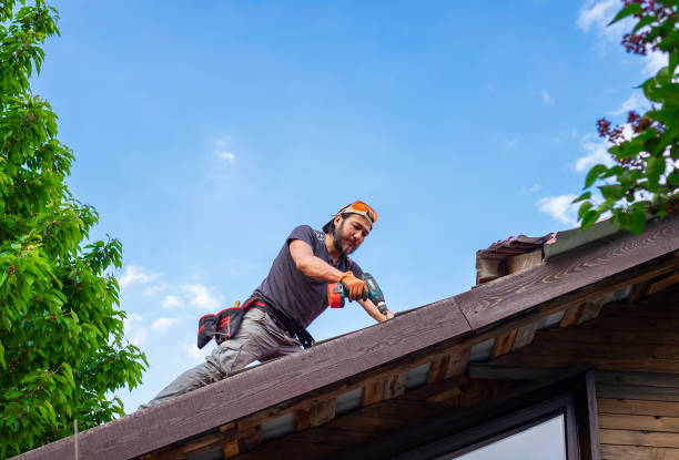 Best Emergency Roof Repair  in Palmyra, MO