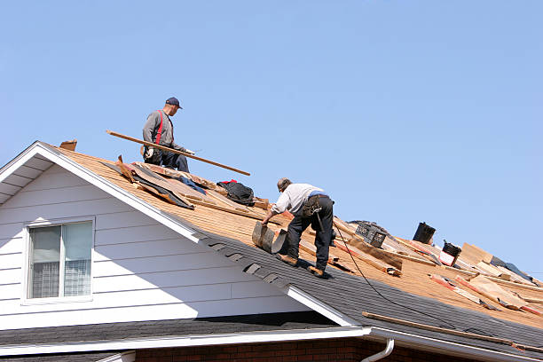 Best Chimney Flashing Repair  in Palmyra, MO