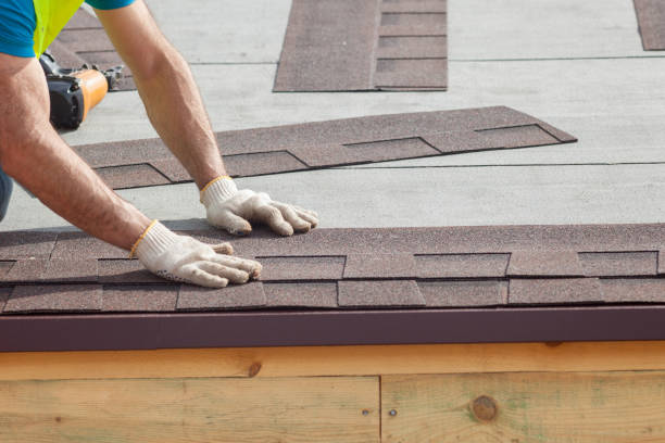 Best Roof Ventilation Installation  in Palmyra, MO