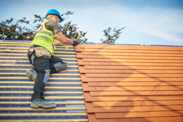 Best Green or Eco-Friendly Roofing Solutions  in Palmyra, MO