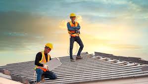 Best Roof Moss and Algae Removal  in Palmyra, MO